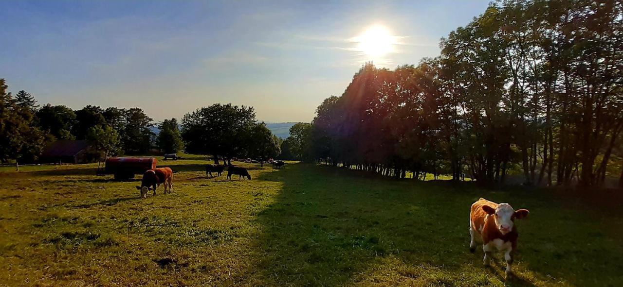 Apartmán HYGGE Bratrouchov Jablonec nad Jizerou Esterno foto